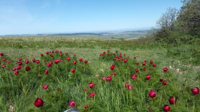 Прикрепленное изображение: 0RhuZj5xdQU.jpg